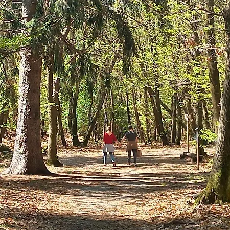 아파트 Antica Casa Al 오게비오