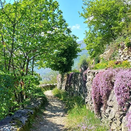Antica Casa Al Appartamento *